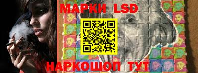 молекула духа Кингисепп