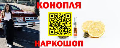 молекула духа Кингисепп